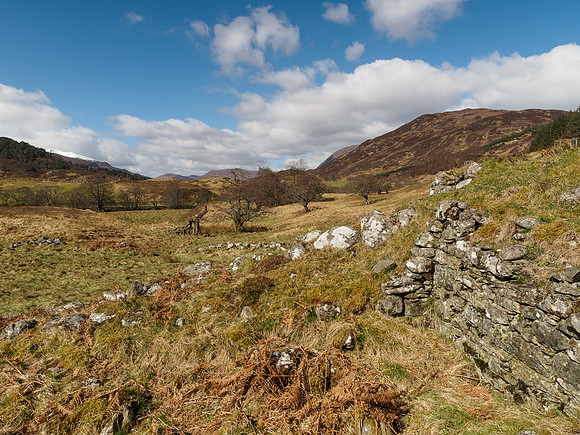 Glen Strathfarrar Looking to the West 3