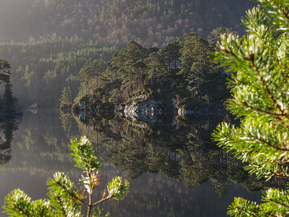 Loch Beinn a'Mheadhoin Reflections 5