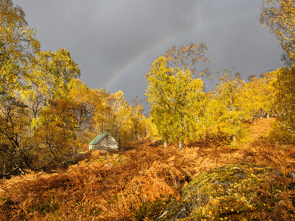 Autumn Bothy [1910068]