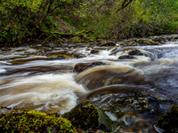 Coiltie Cascade [1910013]
