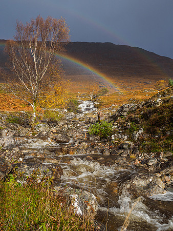 Falls on the Allt Toll a' Mhuic [1910069]