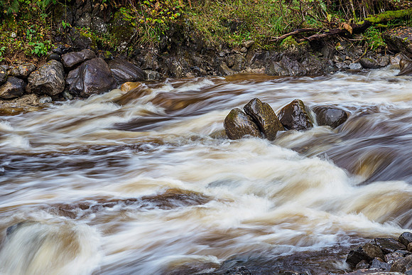 Flow [1910034]