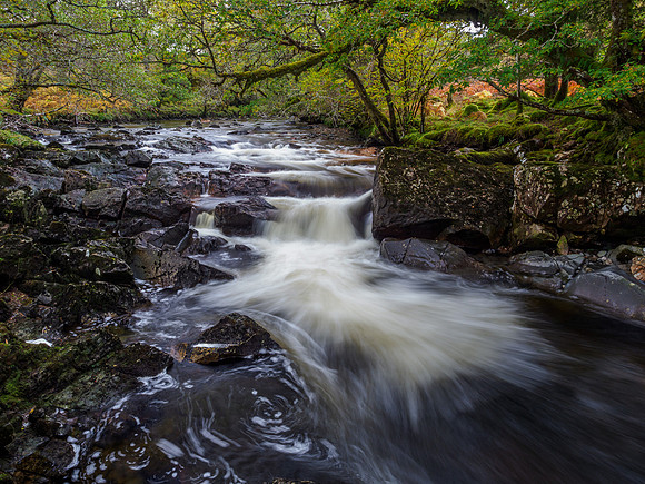 River Loy [1910029]