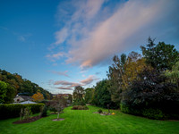 Garden [1910020]