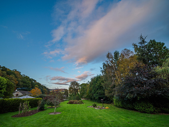 Garden [1910020]