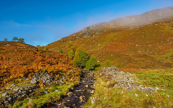 Allt Coire Eòghainn [1910028]