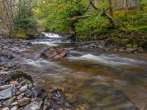 River Loy [1910030]