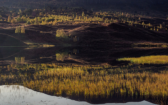 River Cannich [1910027]