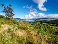 20161001-Balmacaan Woods-EM520187