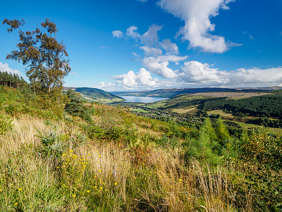 20161001-Balmacaan Woods-EM520187