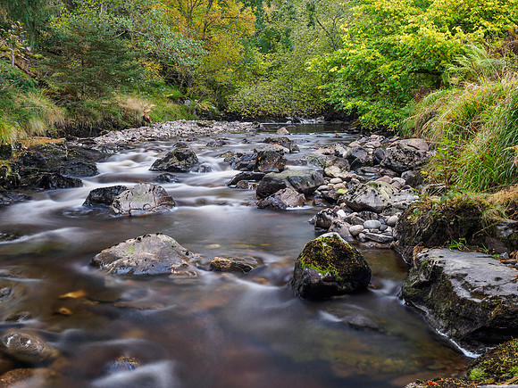 River Enrick