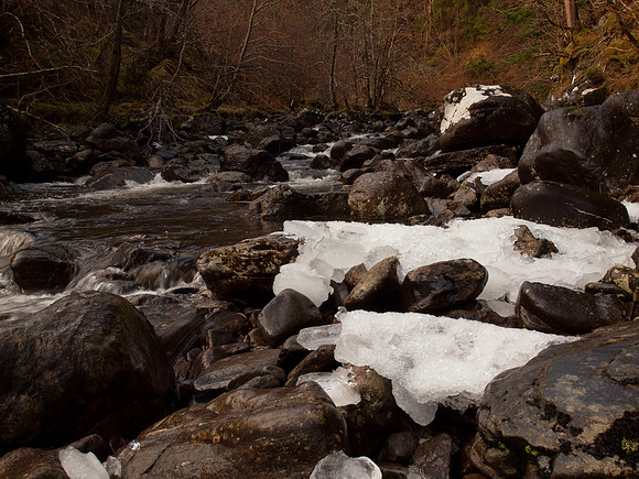 Glen Coiltie
