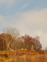 Glen Coiltie