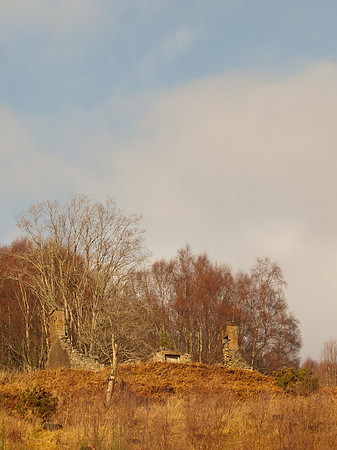 Glen Coiltie
