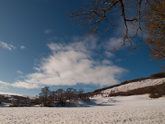 Snow, Blue Skies, Sunshine and Trees
