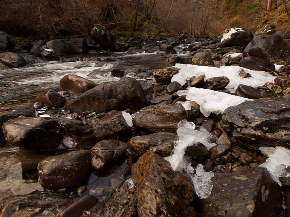 Glen Coiltie