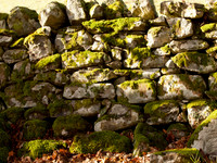 Mossy Drystone Wall