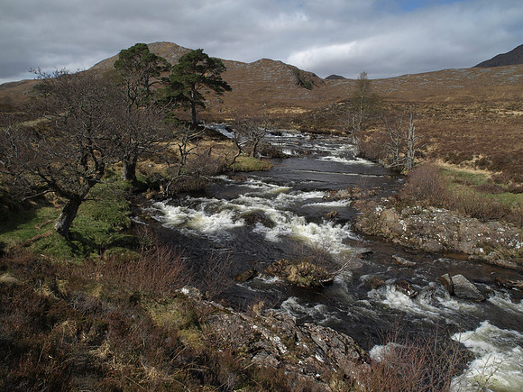 20110417-Glen Strathfarrar-4172234