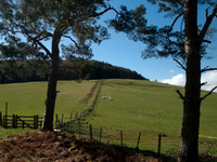20110403-Craig Monie Woods-P4031772