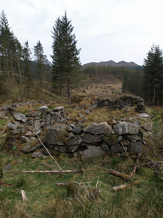 20110409-Sandaig-P4091955-2