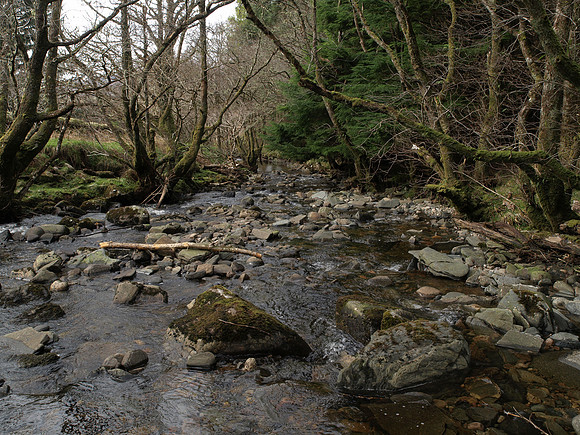 20110409-Sandaig-P4091949-2