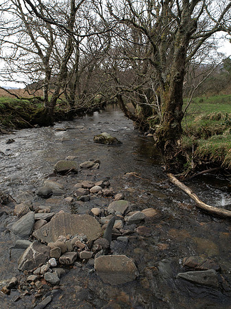 20110409-Sandaig-P4091942-2