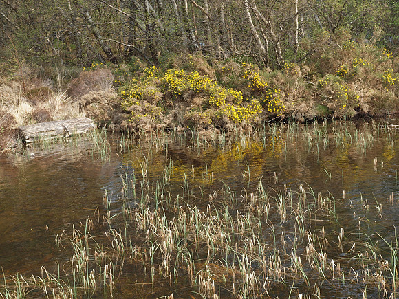 20110422-Plockton-Q4220101