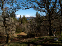 20110403-Craig Monie Woods-P4031780