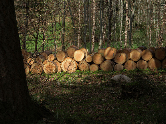 20110415-Invermoriston-P4152186