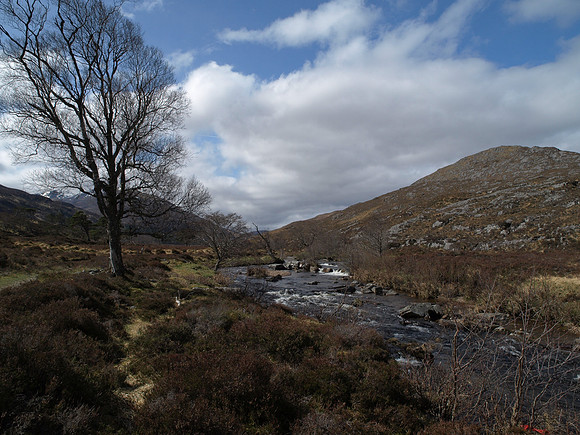20110417-Glen Strathfarrar-4172229