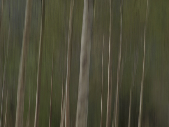 20110415-Invermoriston-P4152182