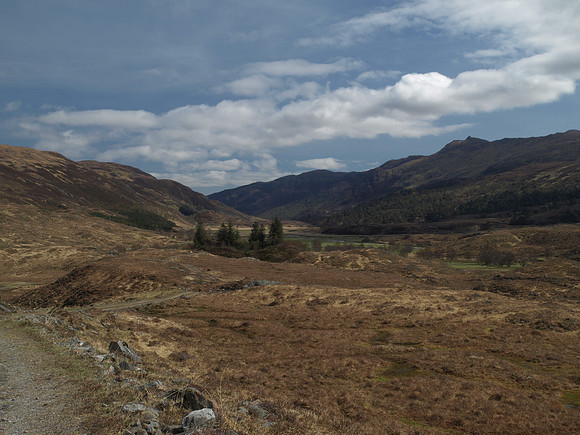 20110417-Glen Strathfarrar-4172238