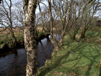 20110409-Sandaig-P4091846