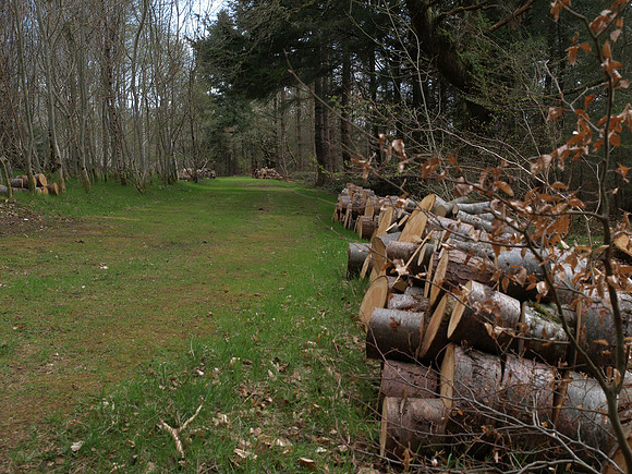20110415-Invermoriston-P4152168