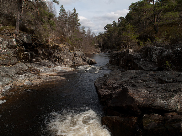 20110414-Glen Affric-P4142126