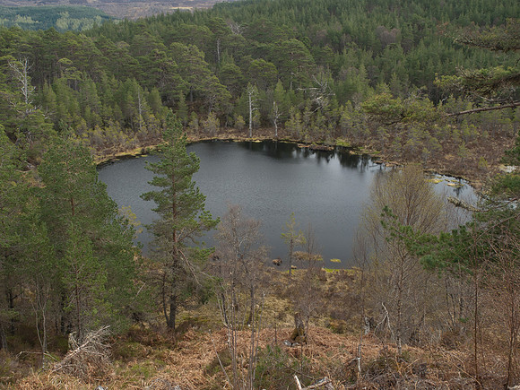 20110414-Glen Affric-P4142086