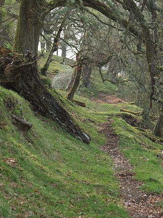 20110421-Drumnadrochit-Q4210041