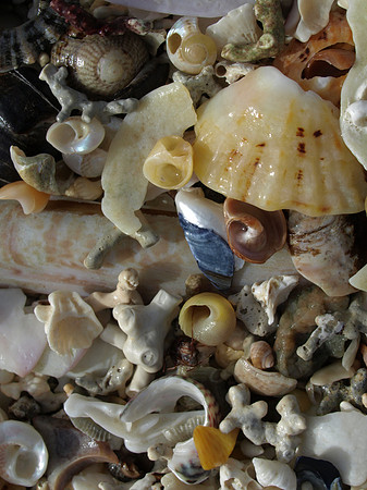 20110409-Sandaig-P4091913