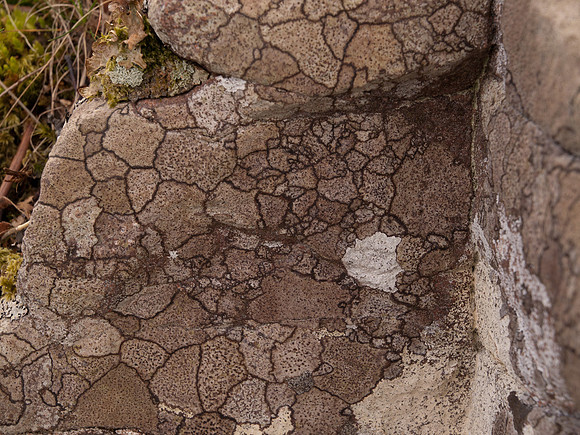 20110418-Applecross-P4182371