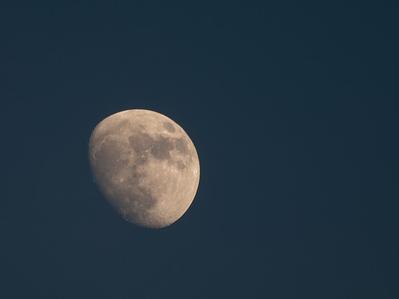 20110414-Moon-P4142143