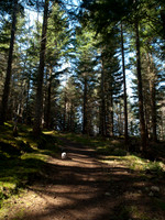 20110403-Craig Monie Woods-P4031769