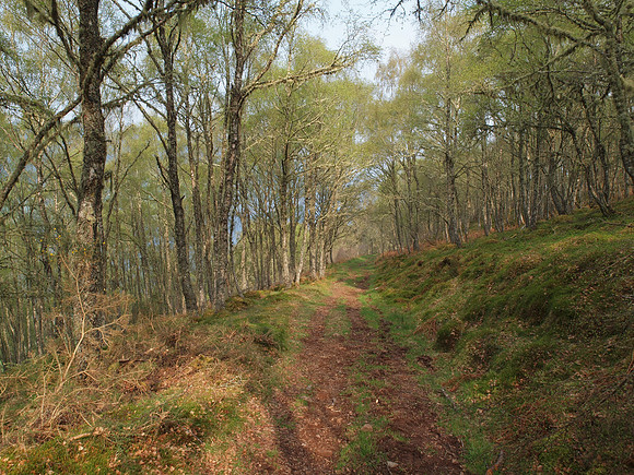20110421-Drumnadrochit-Q4210068