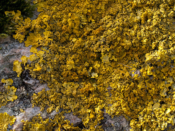 20110409-Sandaig-P4091879