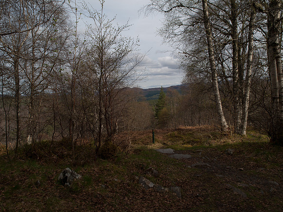 20110414-Glen Affric-P4142120
