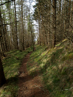 20110409-Sandaig-P4091842