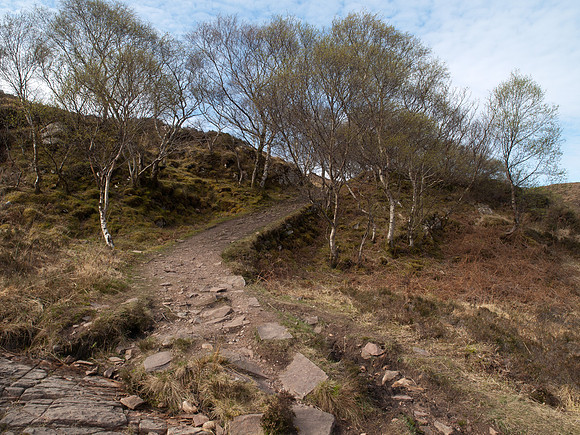 20110418-Applecross-P4182310