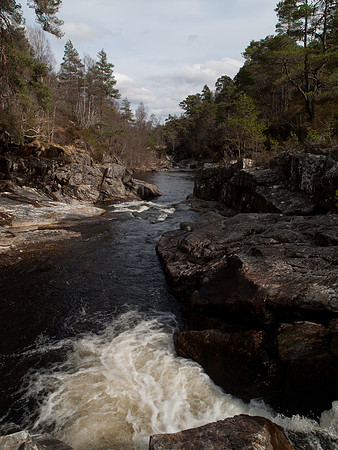 20110414-Glen Affric-P4142127