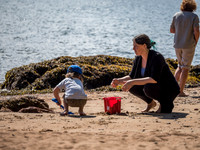Rosemarkie Beach