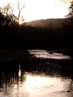 River Reflection