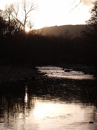River Reflection